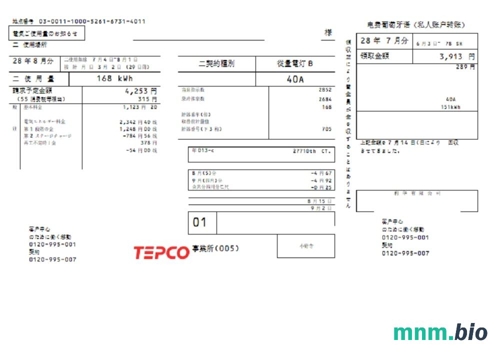 Japan Tokyo Electric Power Firma (TEPCO) szablon rachunku za energię elektryczną w formacie Word i PDF (ーーリリティ請求書テンーート)